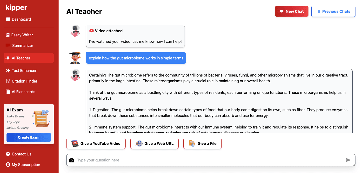 College student optimizing their research paper using Kipper's Undetectable AI Essay Writer on a desktop.